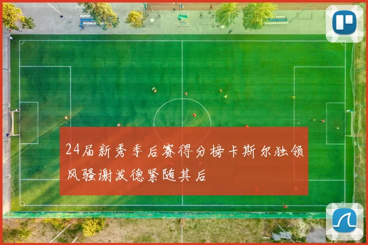24届新秀季后赛得分榜卡斯尔独领风骚谢泼德紧随其后