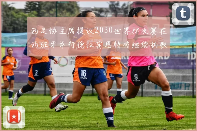 西足协主席提议2030世界杯决赛在西班牙举行德拉富恩特将继续执教国家队